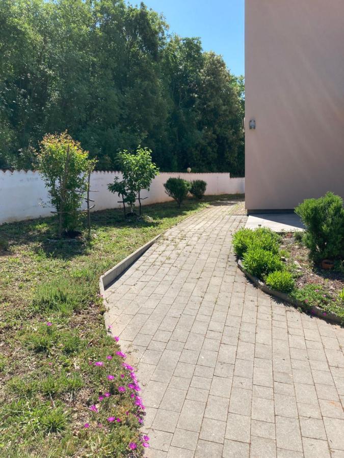 Villa Dijana Viskovići Eksteriør bilde